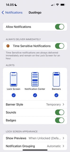 Notifications Switched on iPhone Notifications Screenshot