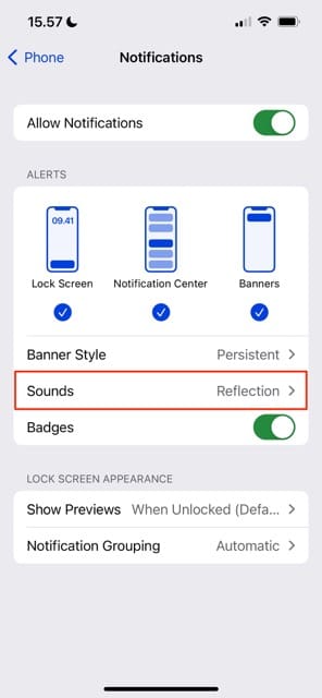 Screenshot showing the sound settings on iPhone