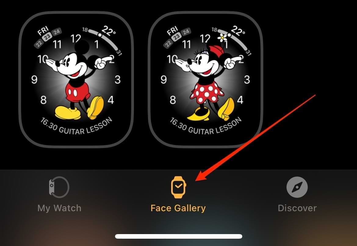 Face Gallery Tab in the Apple Watch iPhone App