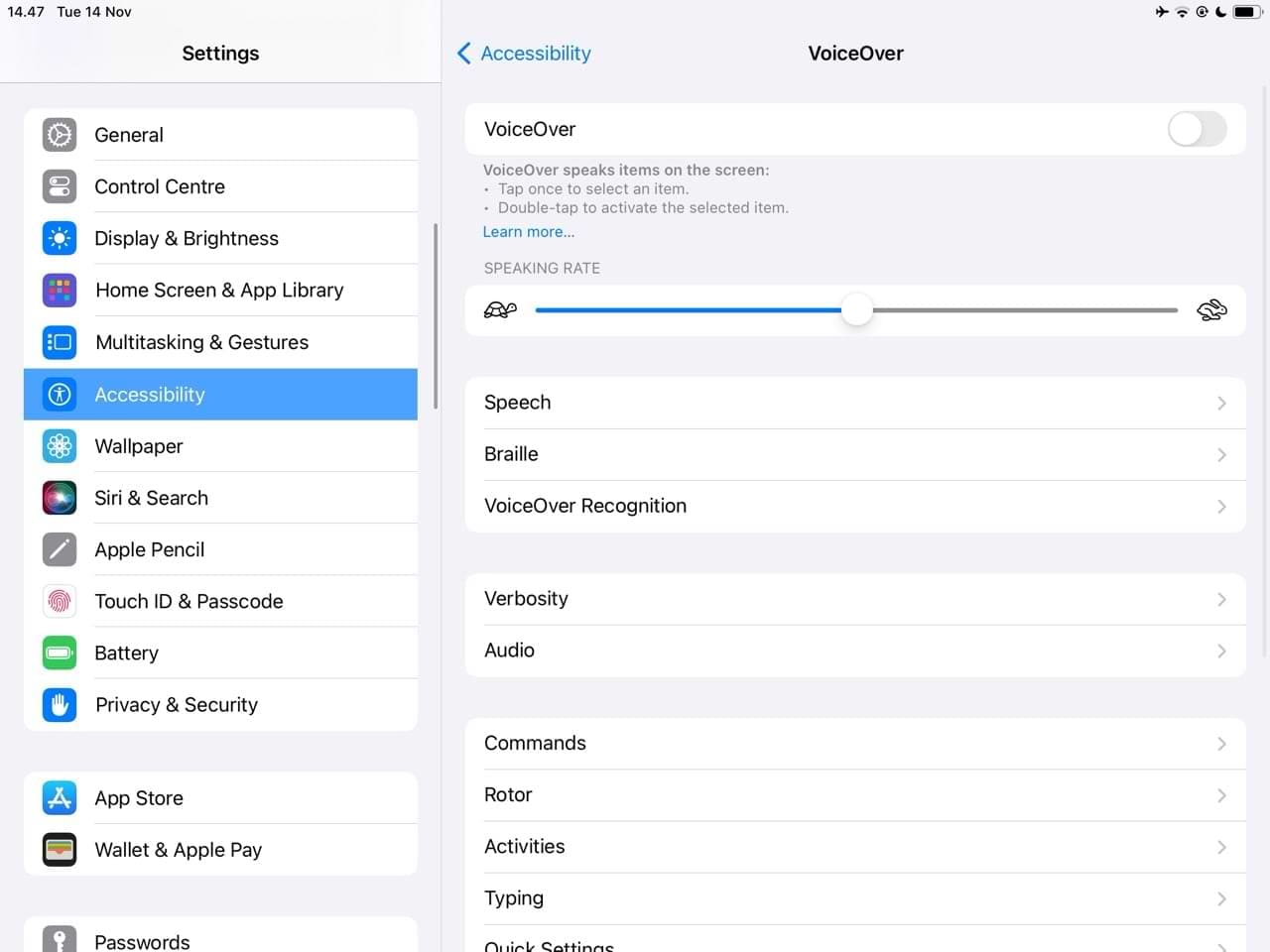 iPadOS VoiceOver Settings