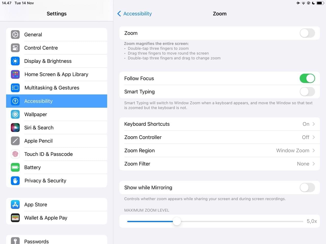 The Zoom Settings That Are Appearing on iPadOS