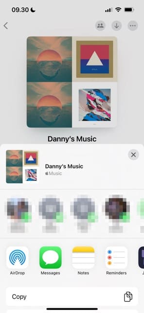 Option to share an Apple Music playlist