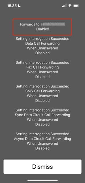 Different iPhone call forwarding settings