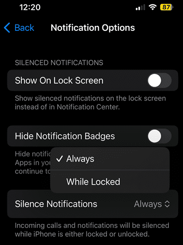  iPhone-show-silenced-notifications-on-lock-screen