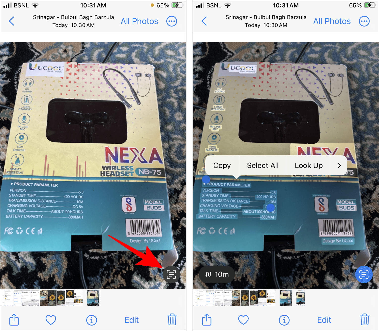 What Is the Google Lens Alternative or Equivalent on iPhone? AppleToolBox
