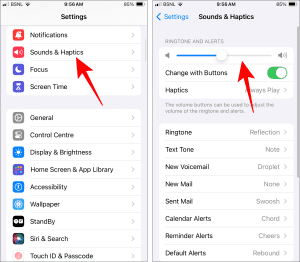 iphone 12 pro max ringtone volume too low