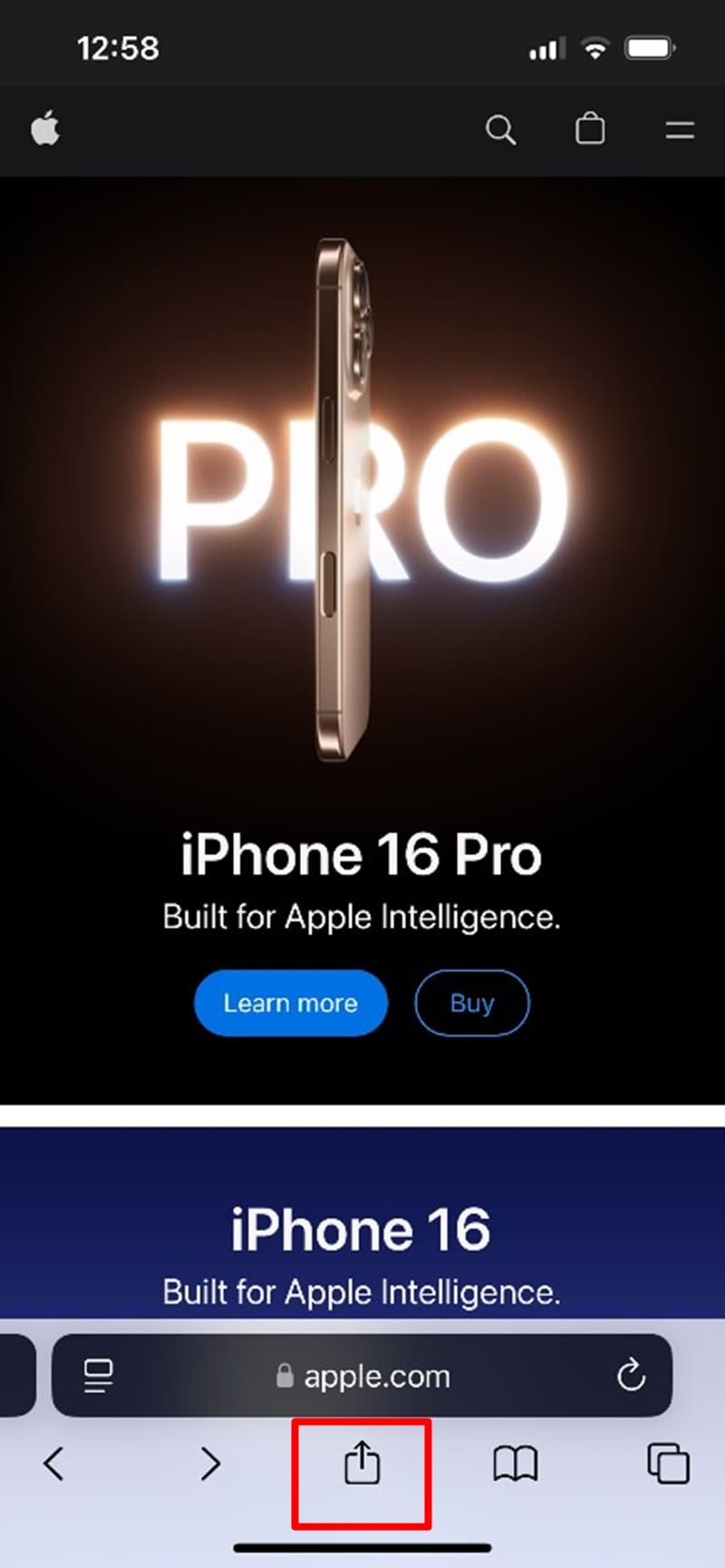 Website As An App