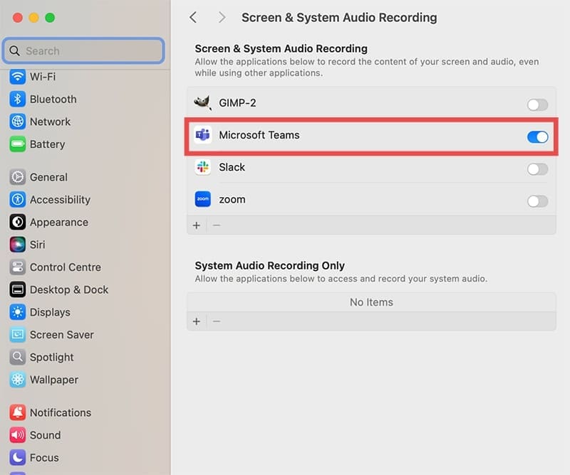 How to Share Screen on Teams on MacBook 6