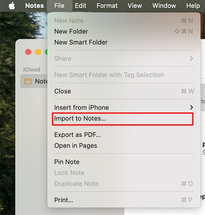 How to Migrate From OneNote to Apple Notes 1