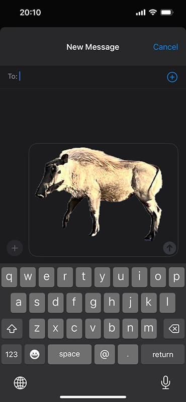 How to Use Google Photos for Custom Stickers on an iPhone 3