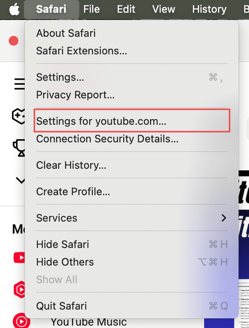 YouTube Not Working on Safari [Mac] 2