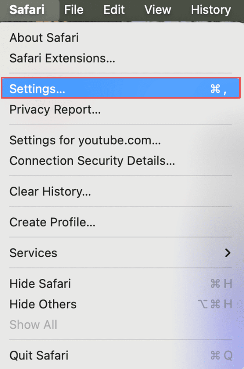 YouTube Not Working on Safari [Mac] 4