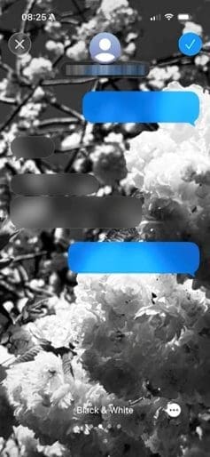 Guide to Changing iMessage Backgrounds on iPhone and Mac - AppleToolBox