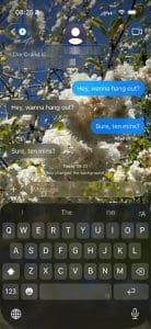 Guide to Changing iMessage Backgrounds on iPhone and Mac - AppleToolBox