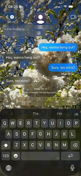 Guide to Changing iMessage Backgrounds on iPhone and Mac 12