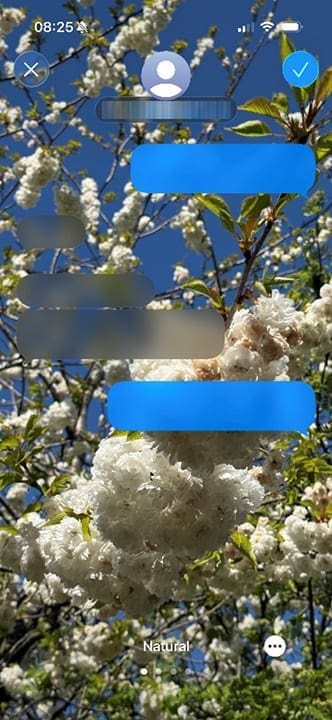 Guide to Changing iMessage Backgrounds on iPhone and Mac 9
