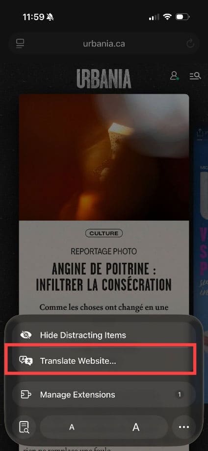 How to Make Google Translate Your Default iPhone App 9